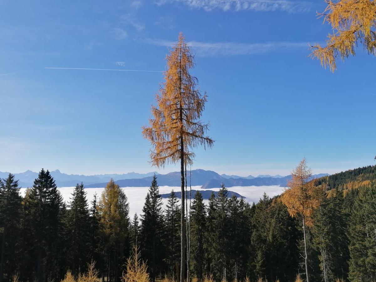 Gerlitzen Ferienappartement Paul Im Ski- Und Wandergebiet, Kanzelhoehe, Ossiacher See Deutschberg Екстер'єр фото